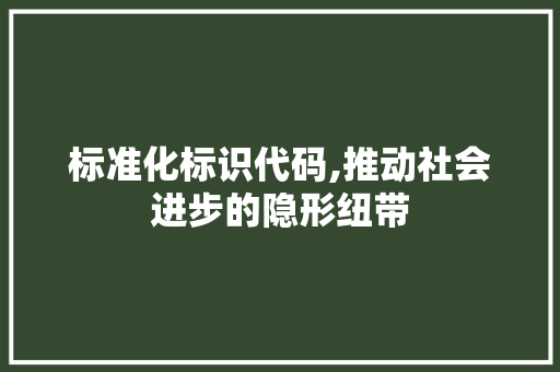 标准化标识代码,推动社会进步的隐形纽带