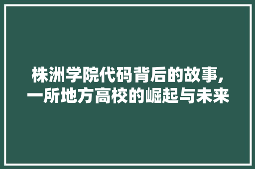 株洲学院代码背后的故事,一所地方高校的崛起与未来