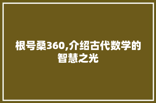 根号桑360,介绍古代数学的智慧之光