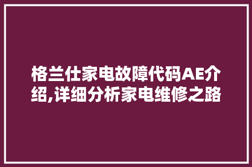 格兰仕家电故障代码AE介绍,详细分析家电维修之路