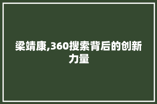 梁靖康,360搜索背后的创新力量