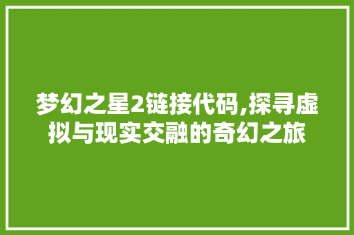 梦幻之星2链接代码,探寻虚拟与现实交融的奇幻之旅