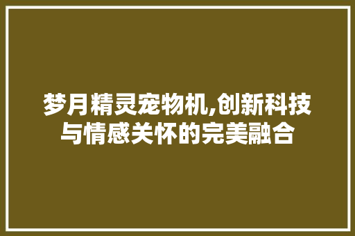 梦月精灵宠物机,创新科技与情感关怀的完美融合