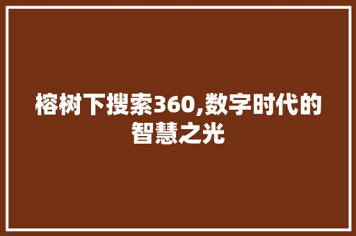 榕树下搜索360,数字时代的智慧之光