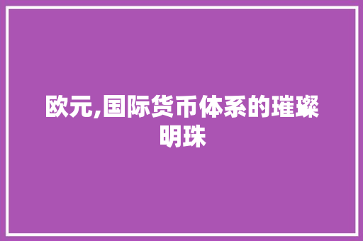 欧元,国际货币体系的璀璨明珠