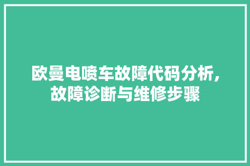 欧曼电喷车故障代码分析,故障诊断与维修步骤