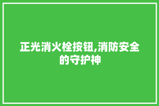 正光消火栓按钮,消防安全的守护神