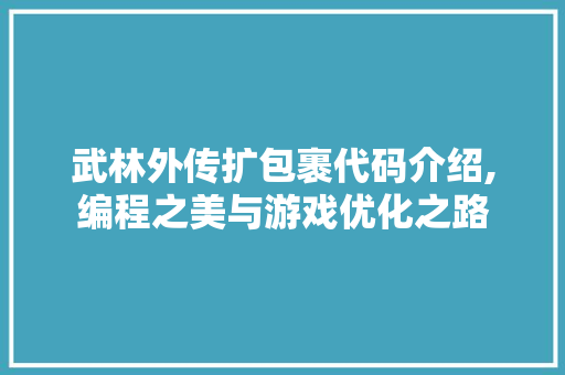 武林外传扩包裹代码介绍,编程之美与游戏优化之路