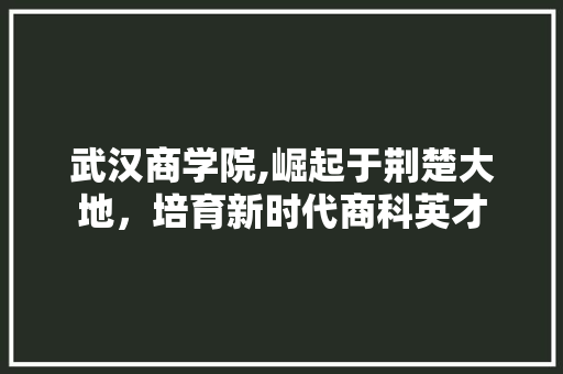 武汉商学院,崛起于荆楚大地，培育新时代商科英才