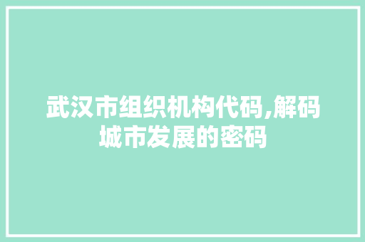 武汉市组织机构代码,解码城市发展的密码