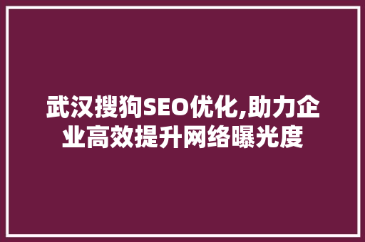 武汉搜狗SEO优化,助力企业高效提升网络曝光度