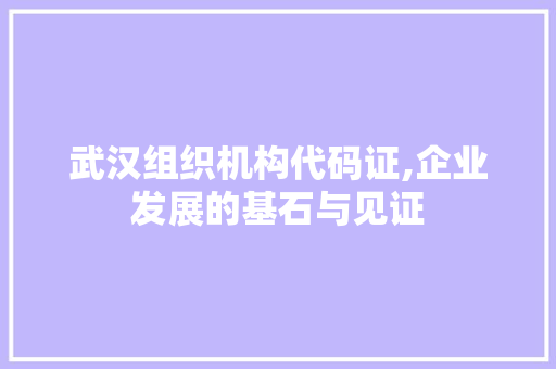 武汉组织机构代码证,企业发展的基石与见证