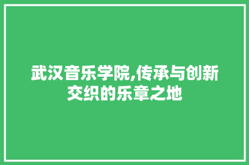 武汉音乐学院,传承与创新交织的乐章之地