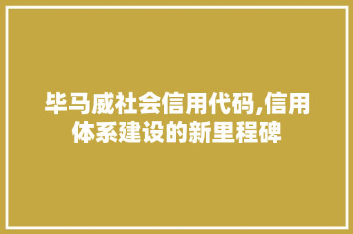 毕马威社会信用代码,信用体系建设的新里程碑