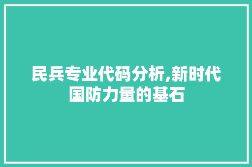 民兵专业代码分析,新时代国防力量的基石