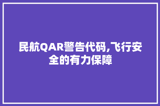 民航QAR警告代码,飞行安全的有力保障