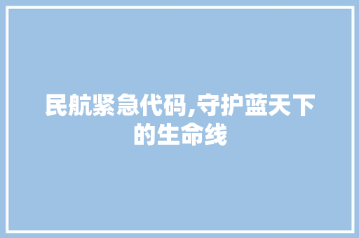 民航紧急代码,守护蓝天下的生命线