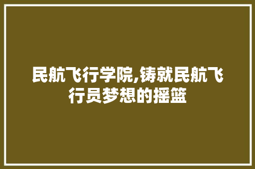 民航飞行学院,铸就民航飞行员梦想的摇篮 Docker