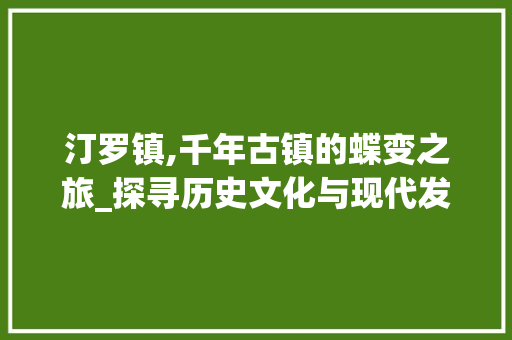 汀罗镇,千年古镇的蝶变之旅_探寻历史文化与现代发展的完美融合