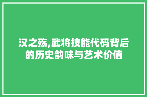 汉之殇,武将技能代码背后的历史韵味与艺术价值