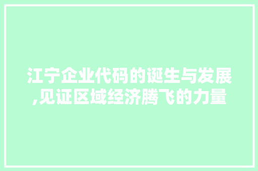 江宁企业代码的诞生与发展,见证区域经济腾飞的力量源泉