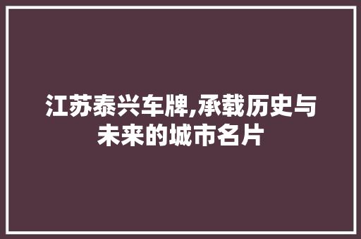 江苏泰兴车牌,承载历史与未来的城市名片