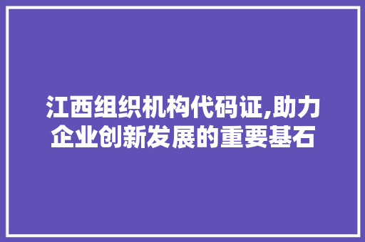 江西组织机构代码证,助力企业创新发展的重要基石