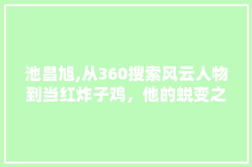 池昌旭,从360搜索风云人物到当红炸子鸡，他的蜕变之路