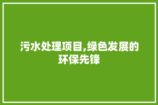 污水处理项目,绿色发展的环保先锋