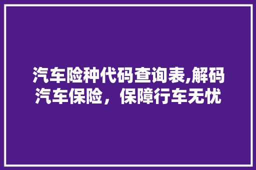 汽车险种代码查询表,解码汽车保险，保障行车无忧