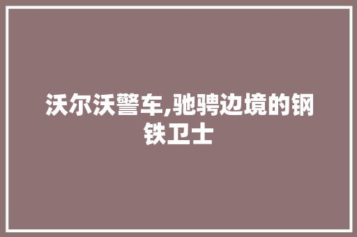 沃尔沃警车,驰骋边境的钢铁卫士