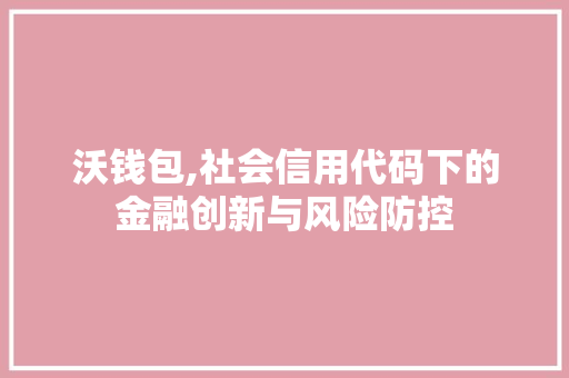 沃钱包,社会信用代码下的金融创新与风险防控