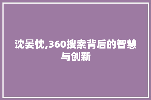 沈晏忱,360搜索背后的智慧与创新