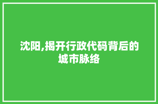 沈阳,揭开行政代码背后的城市脉络