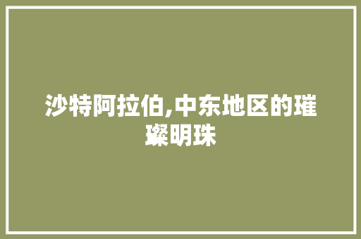 沙特阿拉伯,中东地区的璀璨明珠