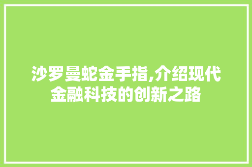 沙罗曼蛇金手指,介绍现代金融科技的创新之路