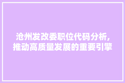 沧州发改委职位代码分析,推动高质量发展的重要引擎