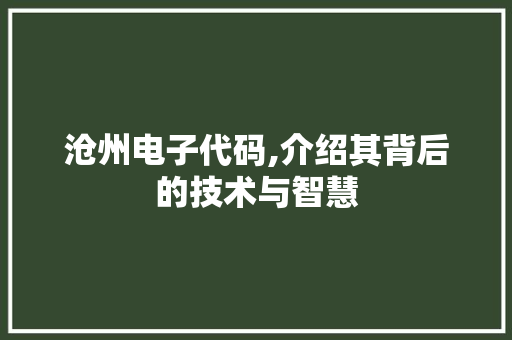 沧州电子代码,介绍其背后的技术与智慧