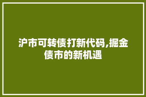 沪市可转债打新代码,掘金债市的新机遇