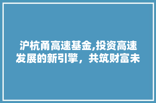 沪杭甬高速基金,投资高速发展的新引擎，共筑财富未来之路