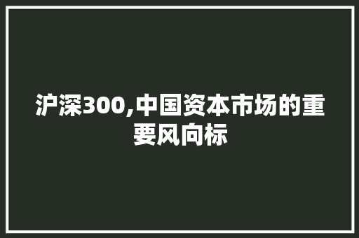 沪深300,中国资本市场的重要风向标