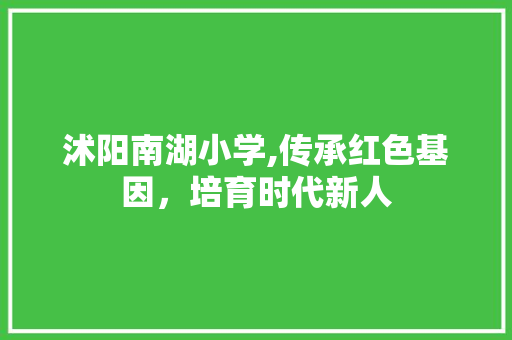 沭阳南湖小学,传承红色基因，培育时代新人