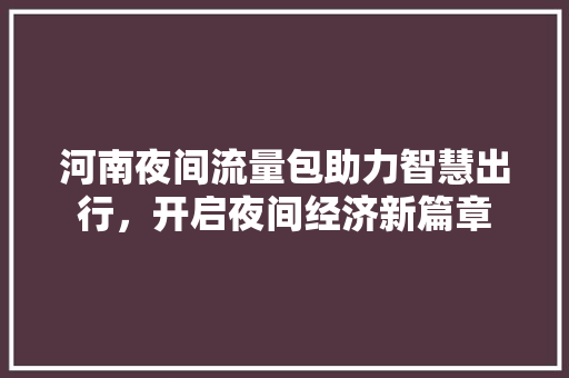 河南夜间流量包助力智慧出行，开启夜间经济新篇章