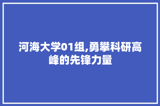 河海大学01组,勇攀科研高峰的先锋力量