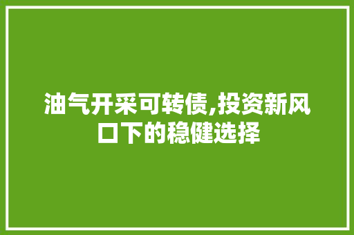 油气开采可转债,投资新风口下的稳健选择