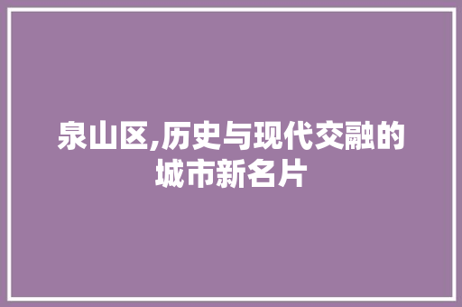 泉山区,历史与现代交融的城市新名片