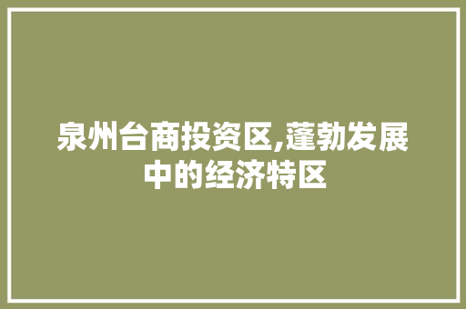 泉州台商投资区,蓬勃发展中的经济特区