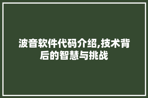 波音软件代码介绍,技术背后的智慧与挑战