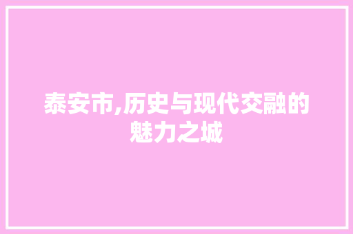 泰安市,历史与现代交融的魅力之城