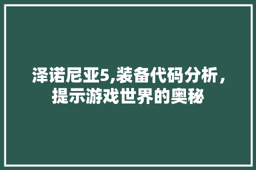 泽诺尼亚5,装备代码分析，提示游戏世界的奥秘